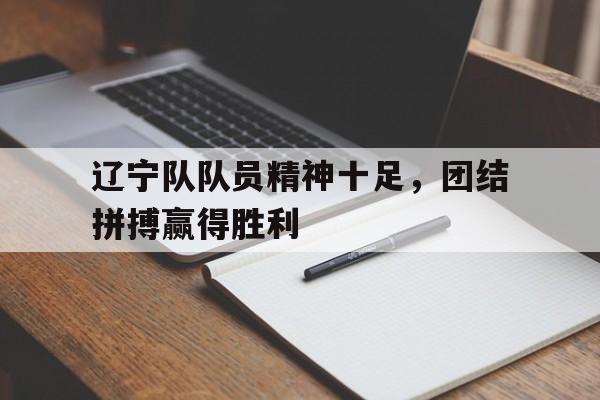 辽宁队队员精神十足，团结拼搏赢得胜利的简单介绍